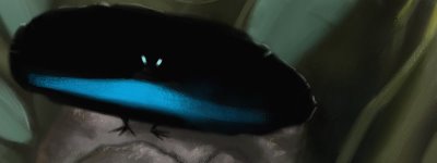 Bird of Paradise mating dance