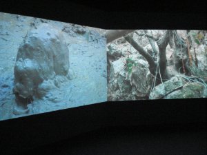 Video installation 1