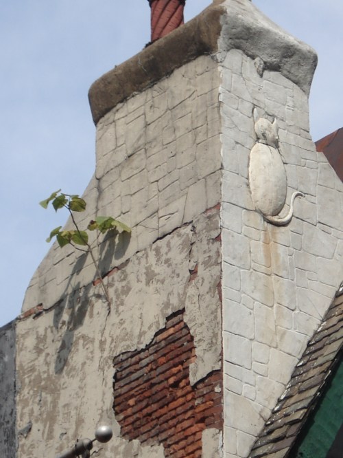 A Tree Grows in Brooklyn